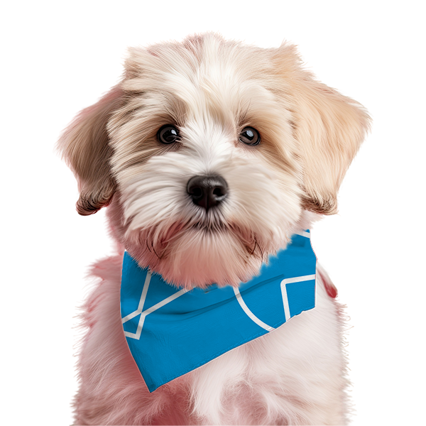Bandana Pet